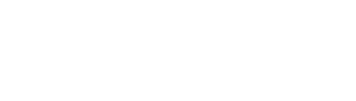 Smartwaysgroup